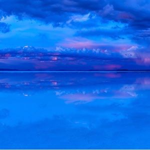 Meet your Posher, Mom